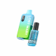 Lostmary BM6000 Menthol Pack of 5